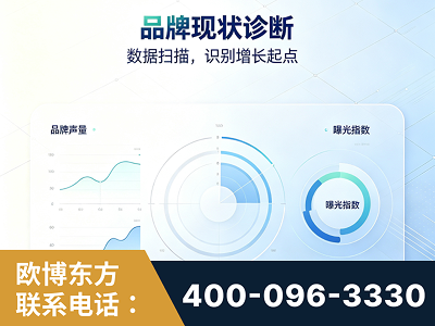 通化-品牌现状诊断