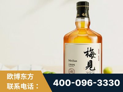 通化-梅见青梅酒